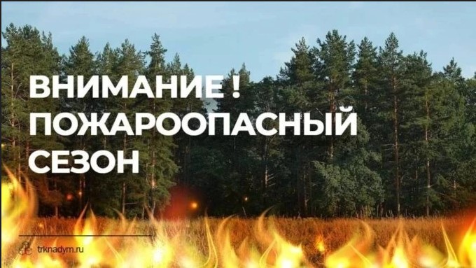 pojjarr